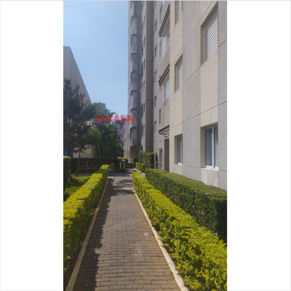 Apartamento para venda Residencial Villagio Vila Antonieta